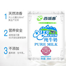 新疆天山纯牛奶袋装全脂学生营养鲜奶生牛乳早餐200ml*20袋