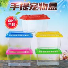 大中小号手提透明宠物饲养盒运输鱼龟盒塑料金鱼缸乌龟缸封闭式