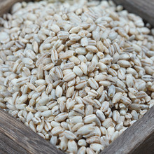 西藏特产奇正集团天麦力青稞米雪之清青稞米1斤大包装产地直发