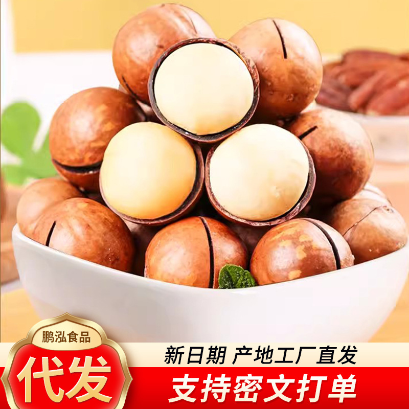 夏威夷果大果薄皮手剥新货批发250g500g 大颗胡桃果年货夏威夷