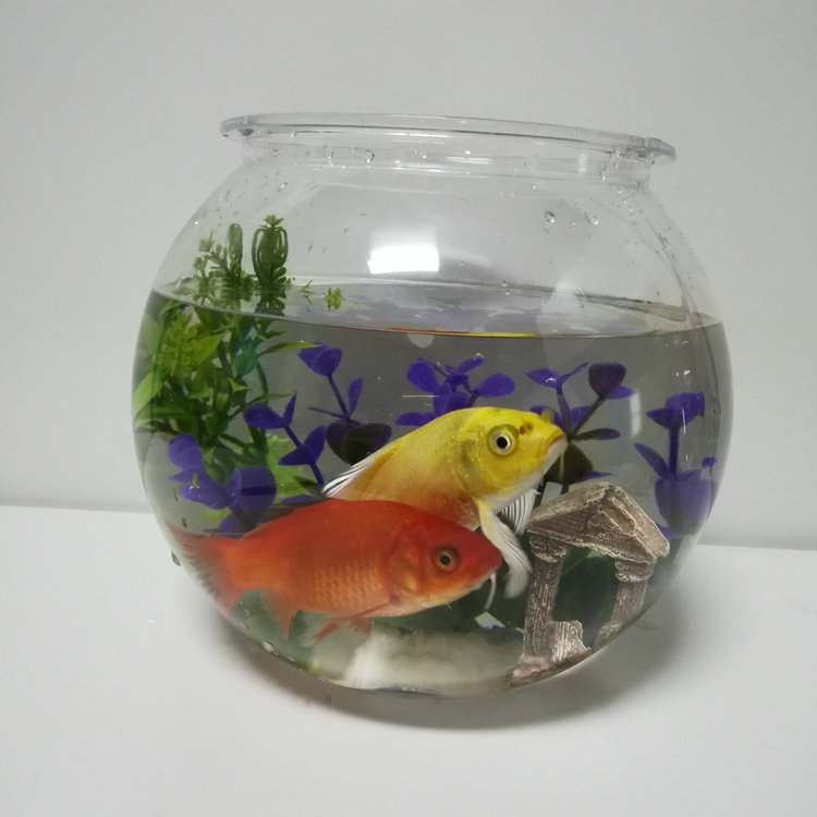 5l小型小金鱼缸酒杯式家用圆形桌面高脚杯斗鱼缸水培