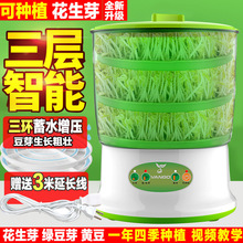 豆芽罐生绿豆芽机泡发桶大容量全自动家用自制豆牙发牙菜