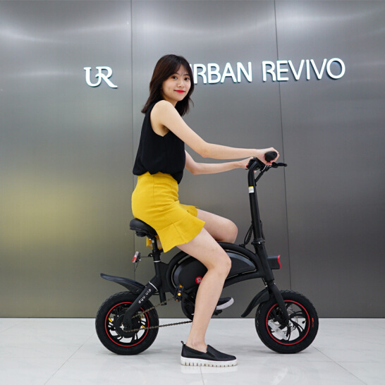 大鱼电动自行车助力小型电瓶车折叠锂电池迷你代步车 d2 标准版