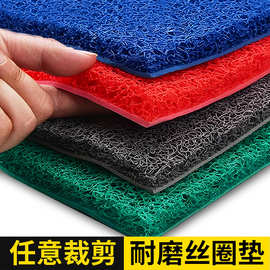 门口地垫加厚塑料丝圈脚垫大门口防滑防水地毯家用入户门垫可裁剪