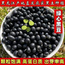 豆芽生发黑豆绿芯自产新绿东北2023500g黑豆农家豆浆五谷杂粮心打