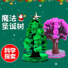 纸树开花儿童圣诞节玩具会开雪花的魔法浇水结晶树科学实验圣诞树