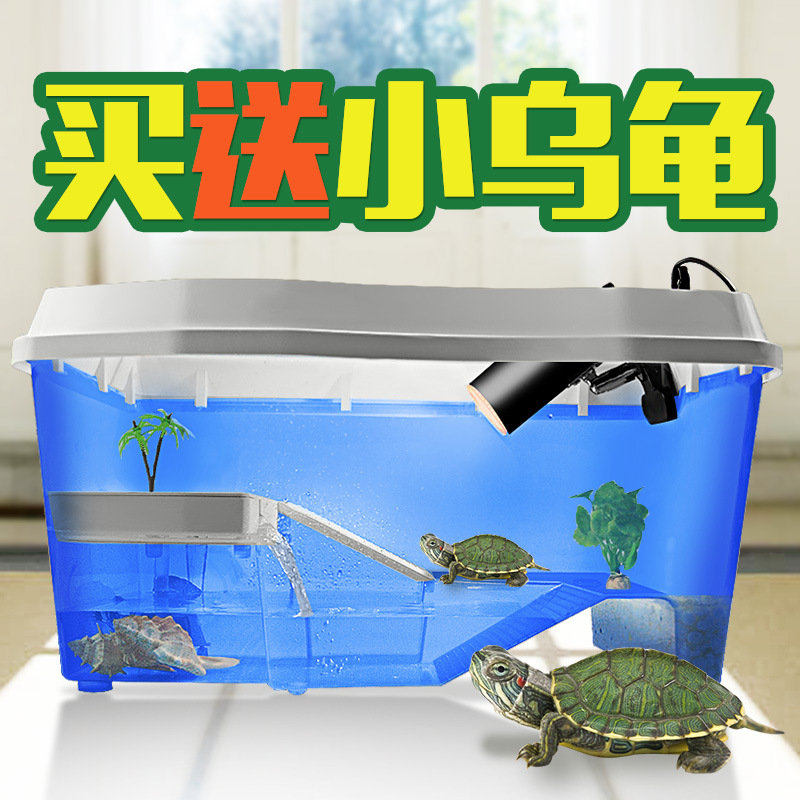 乌龟缸生态缸 加高带过滤器塑料乌龟屋 养巴西龟专用乌龟房子