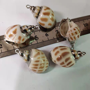 天然贝壳电镀海螺包边银色耳环钥匙扣挂件diy手工材料饰品配件