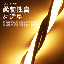 led柔性220V硅胶灯带条24V低压自粘软条灯防水嵌入式线形灯灯带槽