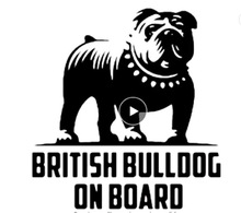 BRITISH BULLDOG ON BOARD斗牛犬wall decor跨境亚马逊DW14118
