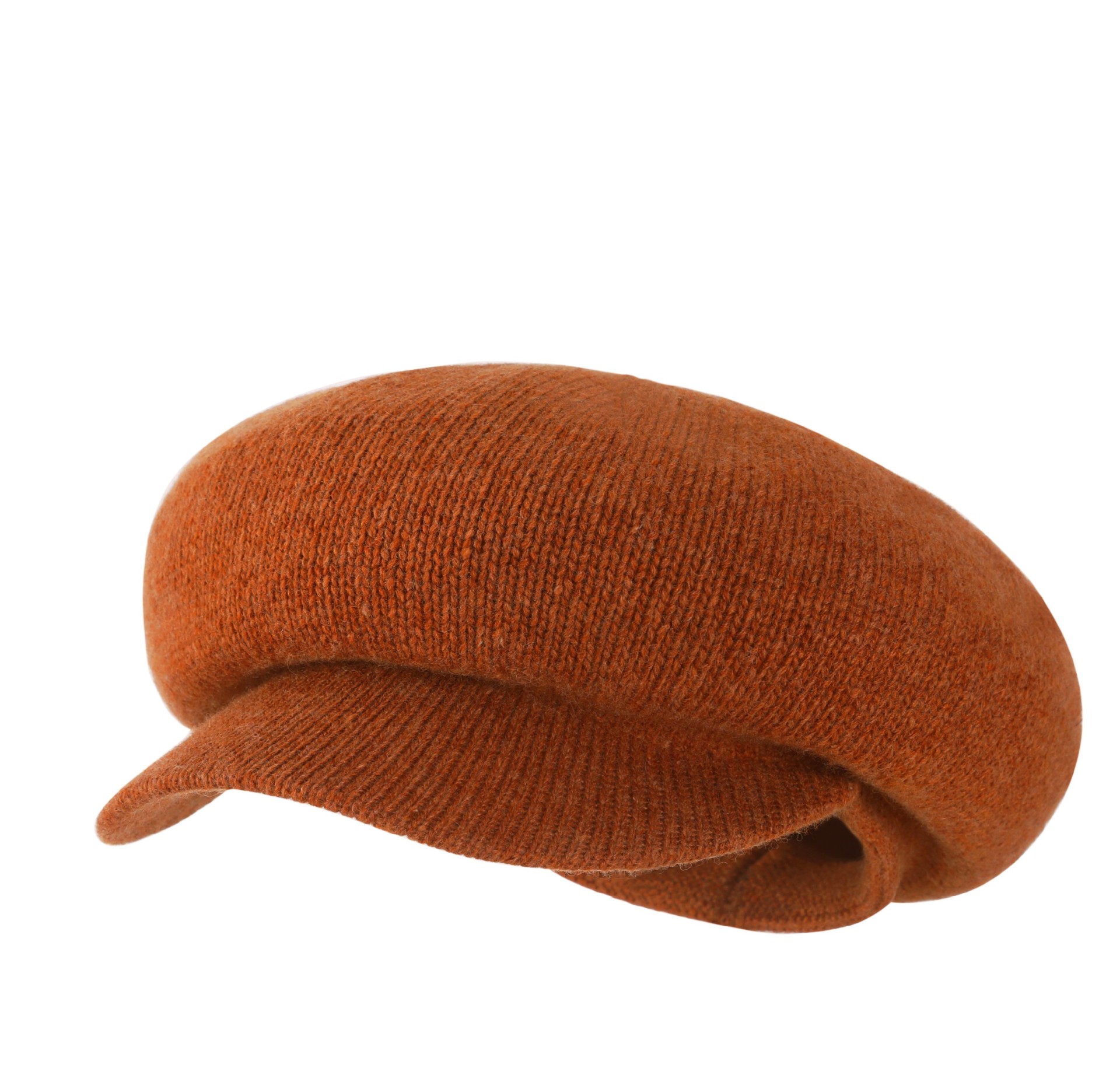 Autumn and Winter Wool Beret Fashion Student Hat Solid Color Warm Knitted Newsboy Hat Women's British Beret