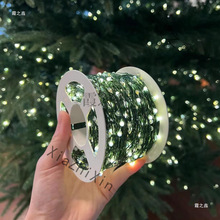 户外墨绿彩灯串装饰圣诞节布置带低压圣诞树led铜线氛围灯24V防水