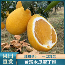 新品台湾木瓜蜜丁橙子新鲜当季孕妇水果纯甜橘子非红柚葡萄柚西柚