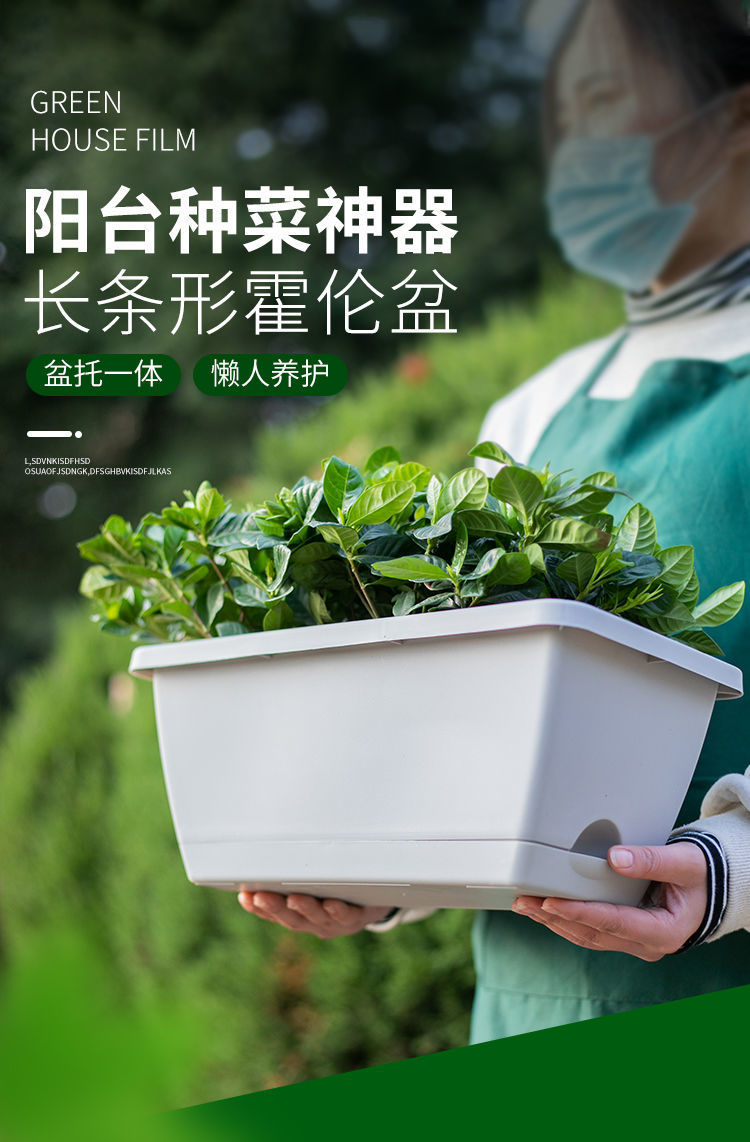 霍伦种菜花盆塑料种菜盆阳台种菜神器室内特大蔬菜长方形花盆特价
