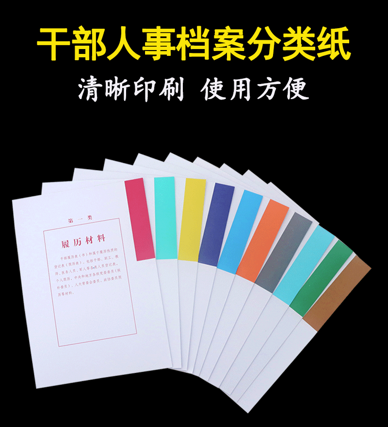a4新标准干部人事档案分类纸隔页纸彩色十大类分类纸分隔纸分类角