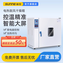 上海电热恒温鼓风干燥箱烘箱工业烤箱实验室静音烘干箱烘干机