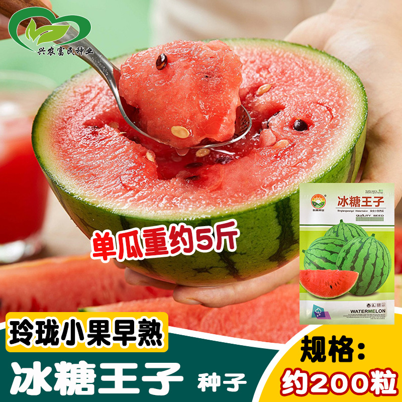冀冉种业冰糖王子西瓜种子 农田菜园播种早熟玲珑小西瓜甜脆西瓜