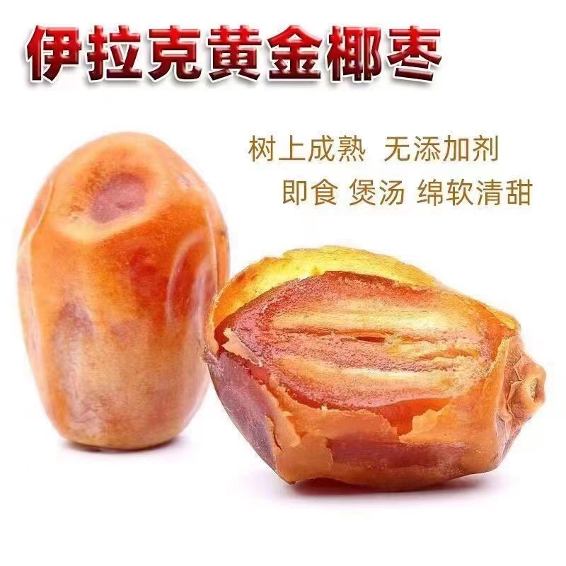 沙特伊拉克黄金 椰枣 大货250g装零食蜜饯大量批发一件代发