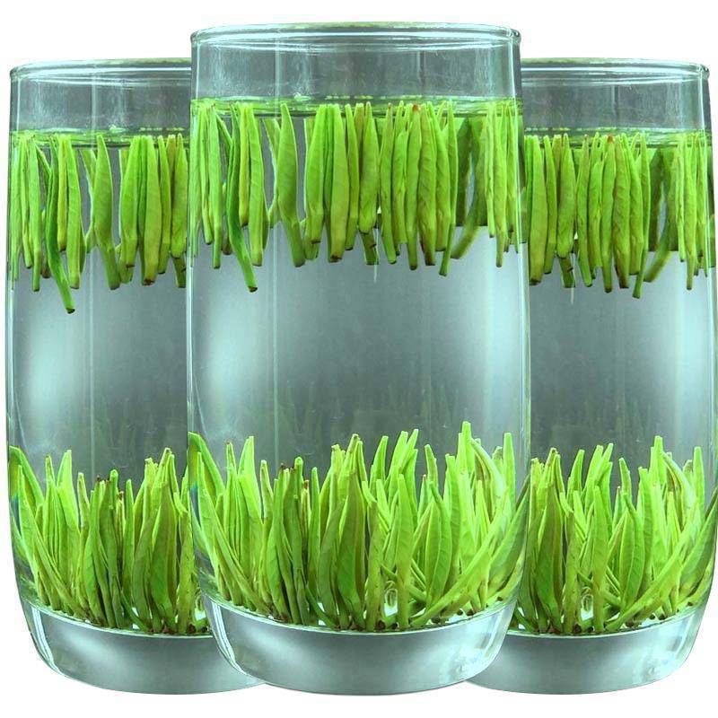 雀舌茶叶新茶明前嫩芽春茶雀舌绿茶浓香型//散装