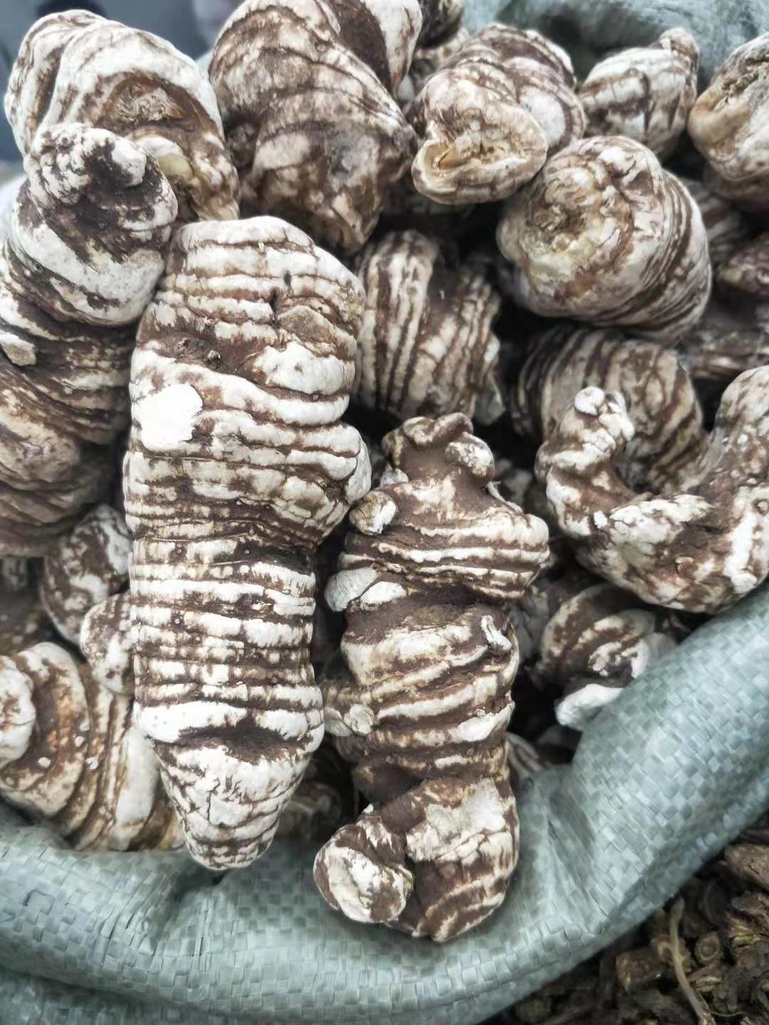 重楼产地货源重楼名贵中药材大货重楼个 重楼片量大价优大货