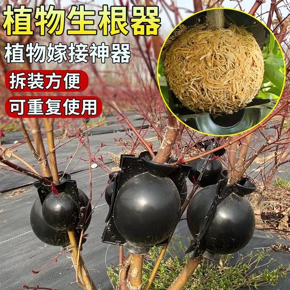 植物生根器高压繁殖盒生根球繁殖球高压盒园林艺温室果树嫁接育苗