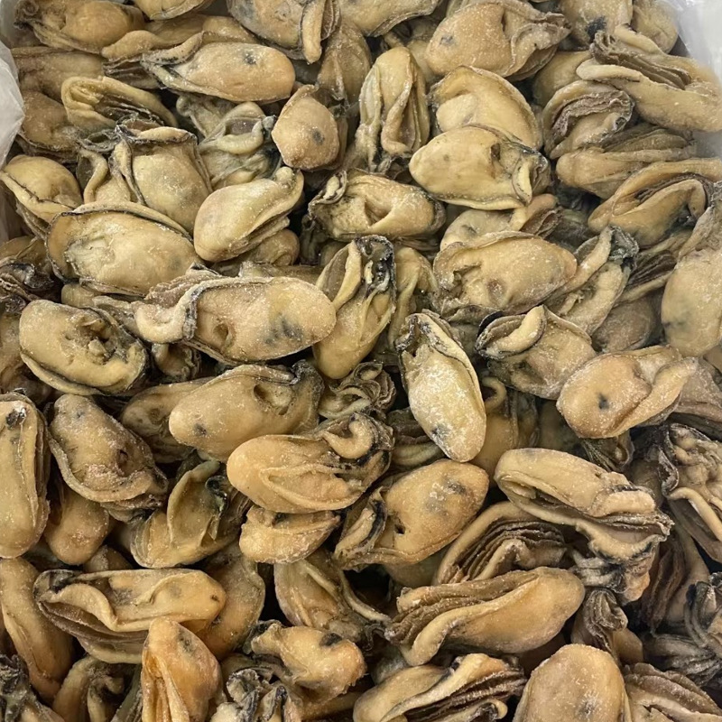 台山生蚝肉金耗干海蛎子大量批发海鲜水产源头厂货一德路一件代发
