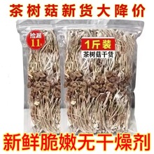 【净重发货】古田新货茶树菇干货无熏硫不开伞茶树菇香菇干货批发