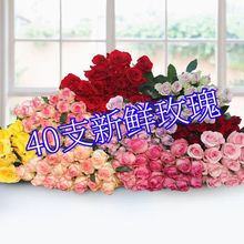 玫瑰花20支真花鲜花速递直批云南昆明基地直发家用办公室插花花束