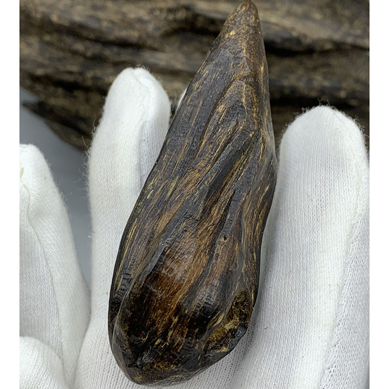 达拉干虫漏沉香随型吊坠老料油性丰富药香味清甜手把件收藏送礼