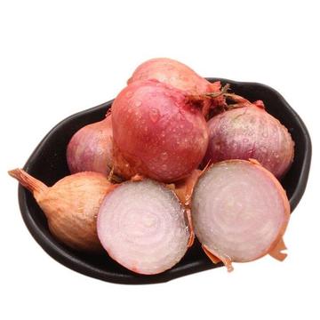 新鲜蔬菜 小洋葱 迷你小毛葱 一毛硬币大小毛葱斤精选