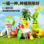 Ecoey儿童种植物铁罐花盆绿植小学生玩具 可以吃的番茄种子小盆栽