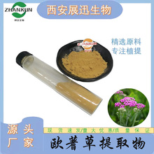 欧蓍草提取物/西洋蓍草提取物 10:1 20:1 30:1 50:1欧蓍草粉  kg