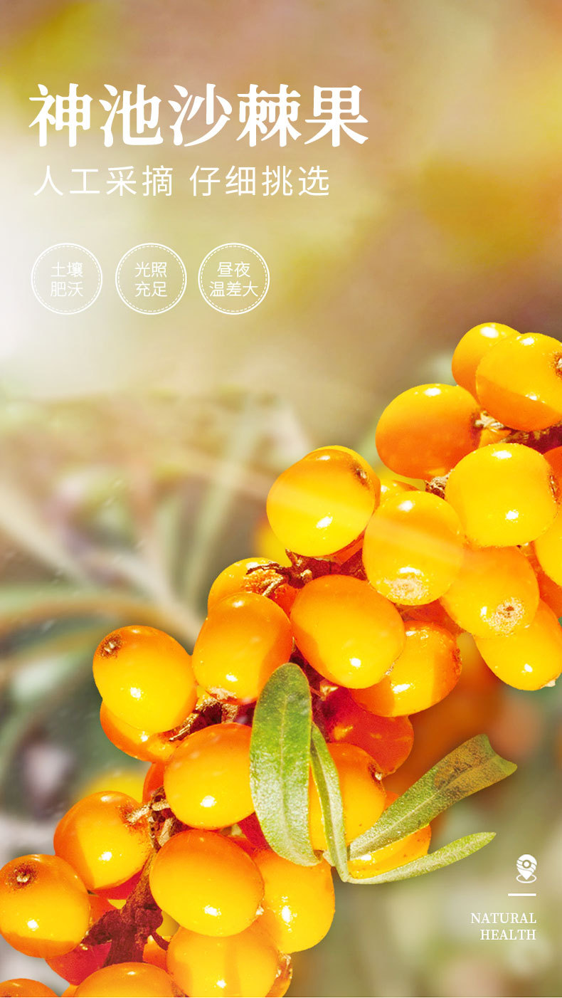 达其爽沙棘汁果汁饮料280ml*12瓶厂家直供生榨沙棘整箱沙棘汁批发