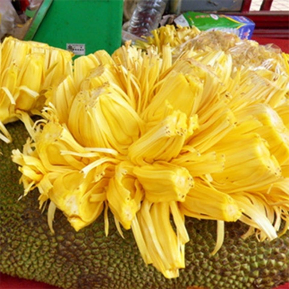 【精选菠萝蜜】海南本地菠萝蜜 出肉率高