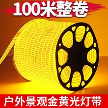 100米金黄光led灯带条工程亮化景观照明户外防水220V室外装饰批发