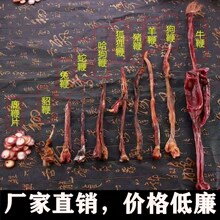 10种动物鞭十鞭王鹿鞭牛鞭羊鞭狗鞭哈狗鞭蛇鞭羊鞭狐狸鞭兔鞭