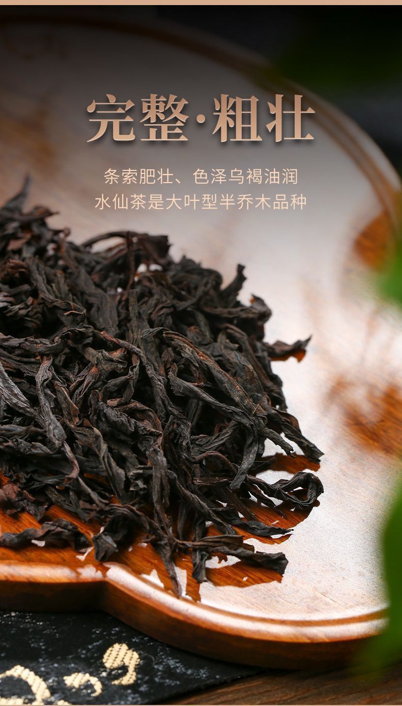 首单立减高品质武夷山盒装肉桂大红袍武夷岩茶清香茶叶浓香型新茶