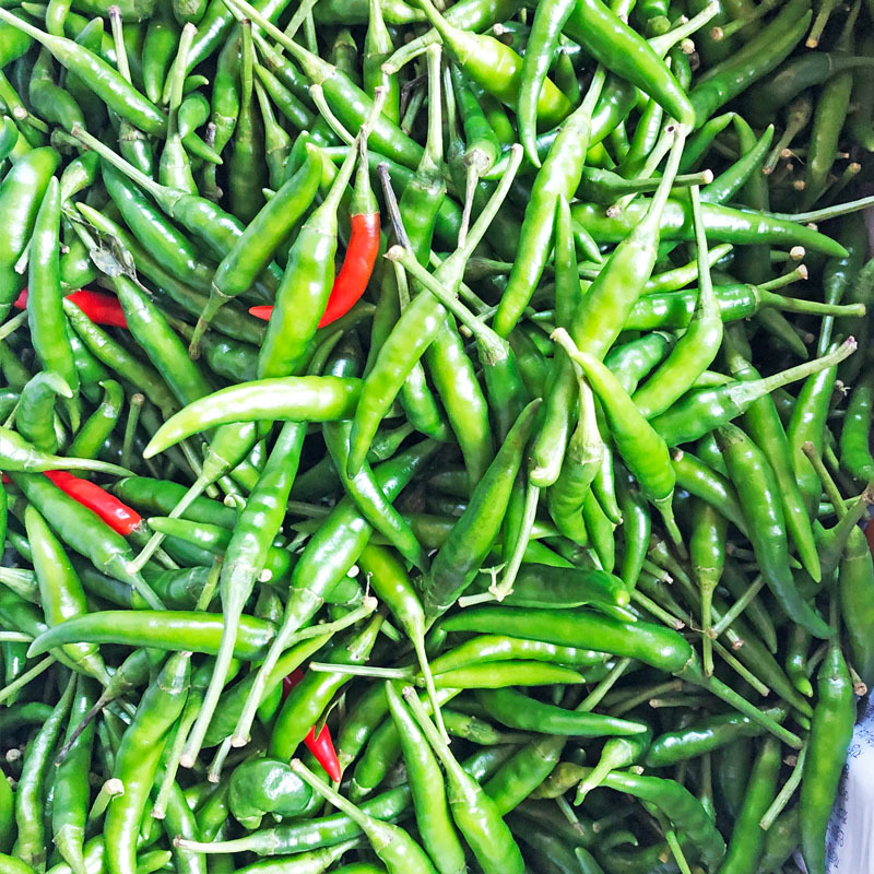 包邮 新鲜泰式小米辣椒500g小米椒指天椒小尖椒青辣椒泰国餐厅用