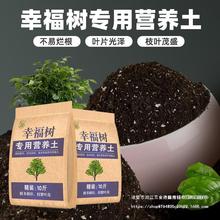 幸福树批发种花土营养土养花通用型家用盆栽花卉有机泥土壤种植土