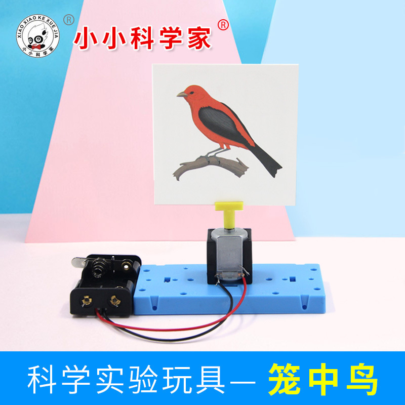 笼中鸟儿童科学实验手工diy科技小制作材料益智玩具科普培训器材
