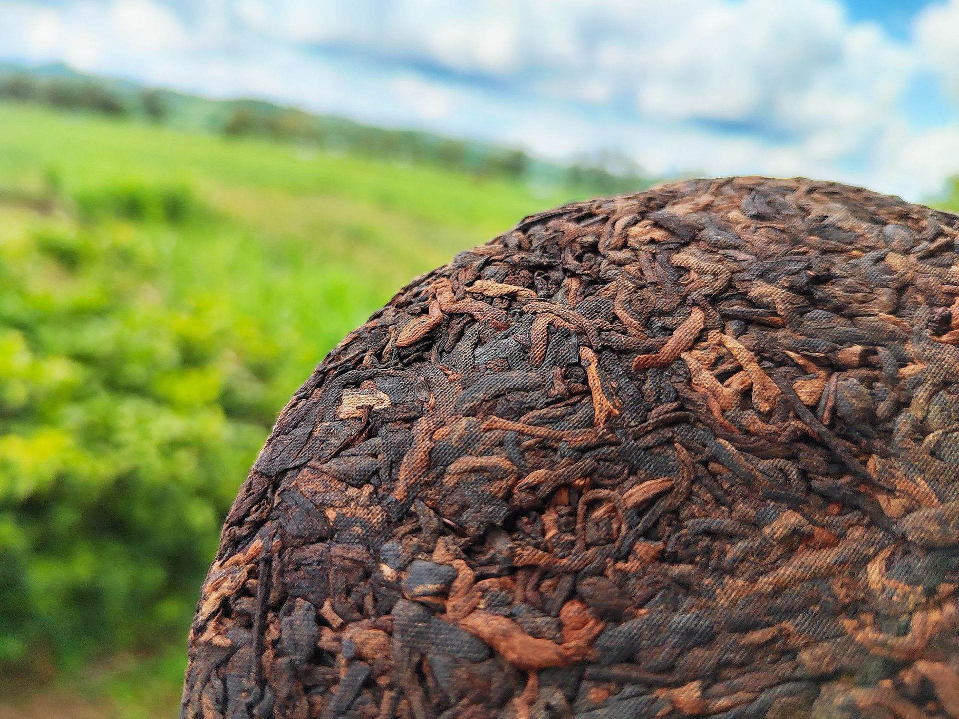 曼松古树茶 普洱熟茶饼200克 易武高杆熟茶离地发酵 中宏茶厂直营