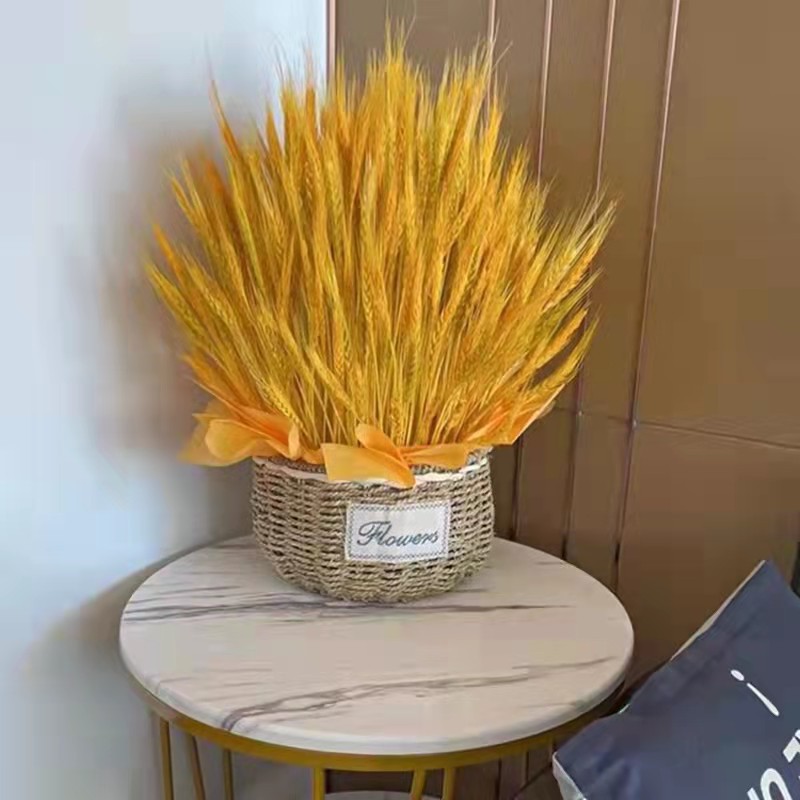 天然麦穗干花干花花束大麦田园装饰拍摄道具麦穗干花婚庆装饰摆件
