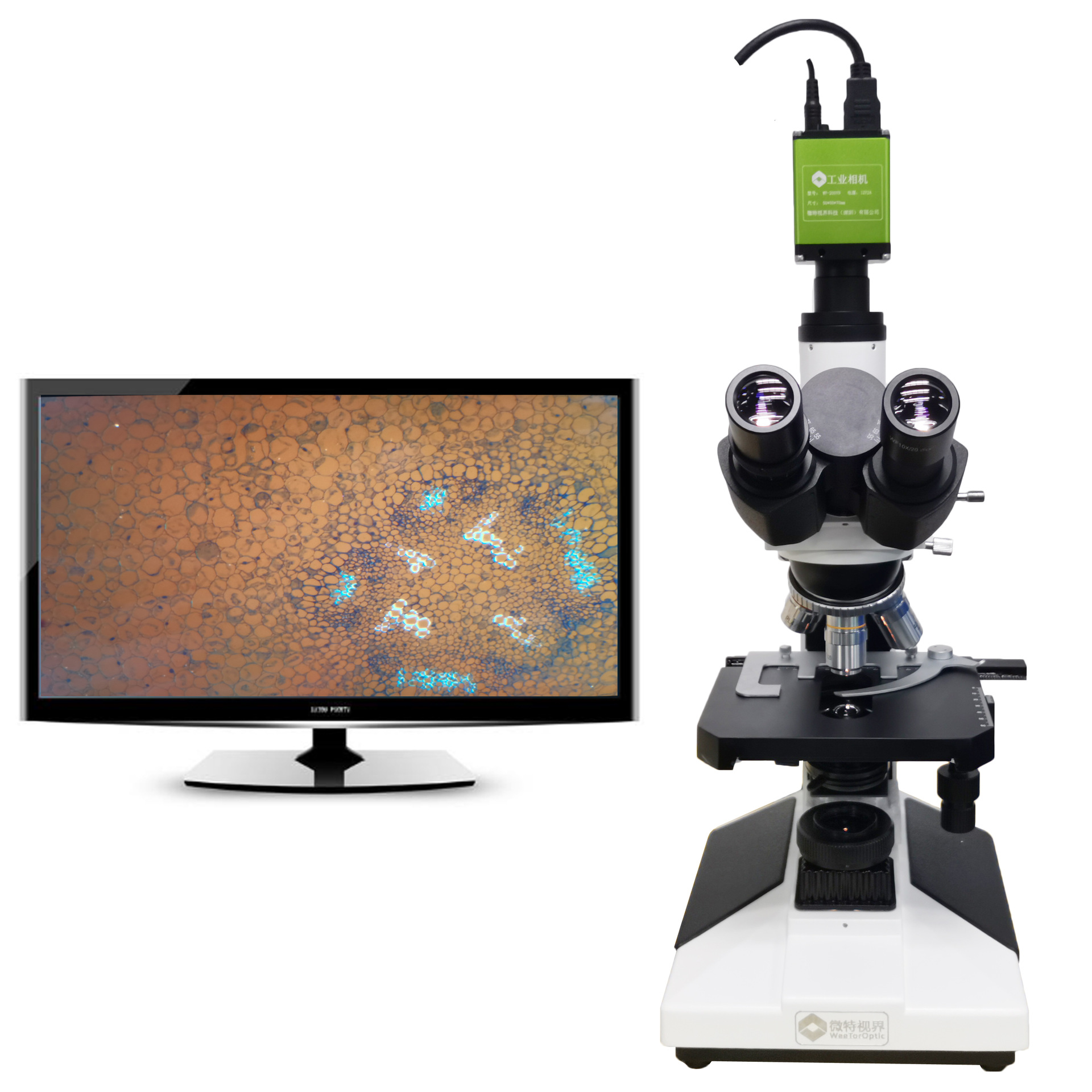 高清1000倍【三目生物显微镜】可测量偏光 科学实验教学实验器材