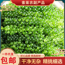 盐渍海葡萄100g海带丝即食长寿菜海藻菜海菜裙带菜寿司绿色鱼批发