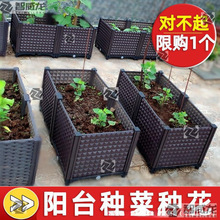 楼顶种菜箱泡沫塑料花盆家用阳台种菜盆室内蔬菜种植箱大花箱