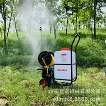 HN-60L手推式电动喷雾器 12V农用园林洒水车 养殖场喷雾消毒机
