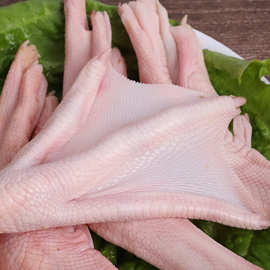 【2斤 顺丰包邮】大鹅掌新鲜鹅脚鹅肉新鲜大鹅整只冰鲜冷冻鹅爪子