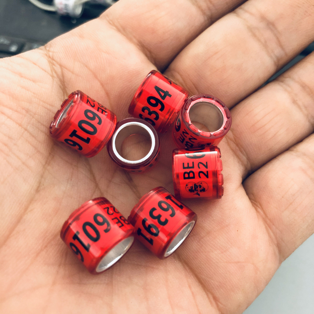 年比利时 特留环2022种鸽脚环专用 荷兰环信鸽 带证外籍