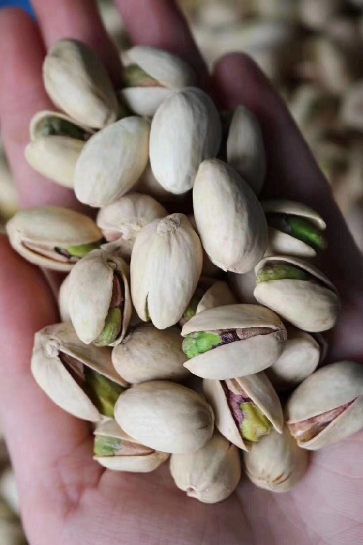 20斤/件天虹原色大自然开心果盐焗开心果开口开心果坚果零食批发