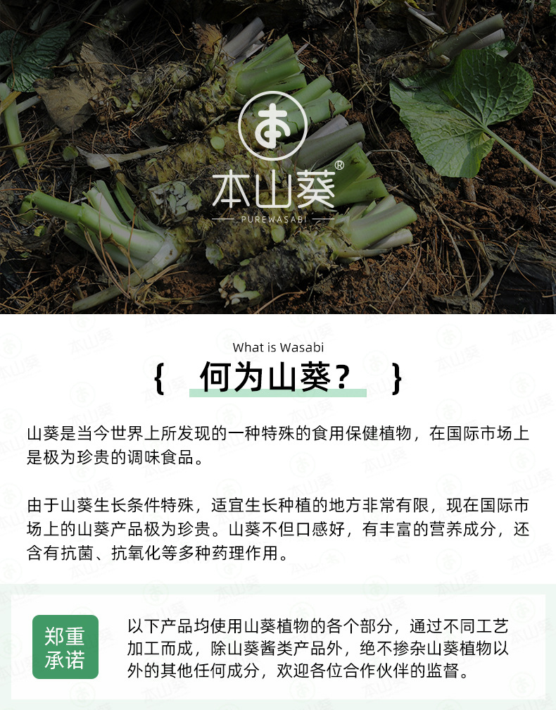 速冻山葵酱纯wasabi主茎原料厂家直供 用作芥末芥辣辣根原料添加